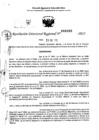 Vista preliminar de documento RDR 0392-2025