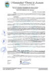 Vista preliminar de documento RESOLUCION GERENCIAL 067-2025