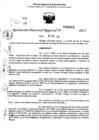 Vista preliminar de documento RDR 0393-2025