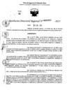 Vista preliminar de documento RDR 0394-2025