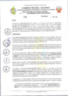 Vista preliminar de documento RESOLUCION N 188