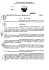 Vista preliminar de documento RDR 0395-2025