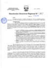Vista preliminar de documento 00217 RDR 2024 DAR CUMPLIMIENTO A ESTER NORFELIA QUISPE RAMOS