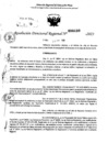 Vista preliminar de documento RDR 0400-2025