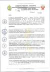 Vista preliminar de documento RESOLUCION N 191