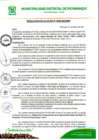 Vista preliminar de documento RA-2025-049