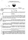 Vista preliminar de documento RDR 0402-2025