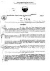Vista preliminar de documento RDR 0403-2025