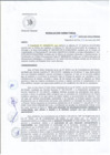 Vista preliminar de documento R.D 065-25-DG-