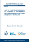 Vista preliminar de documento GPC N° 01-2025_Versión Resumida