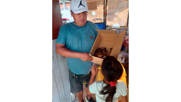 Perritos que nacieron en cochera municipal fueron adoptados.