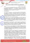 Vista preliminar de documento RESOLUCION_01