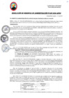 Vista preliminar de documento RGA456-2024