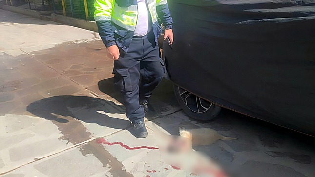 Nota de prensa sobre el atropello de una mascota en el Psje. Manuel Ubalde y la fuga del conductor.