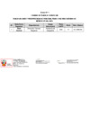 Vista preliminar de documento Anexos