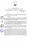 Vista preliminar de documento RDR N°234-2025-28-03-2025