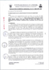 Vista preliminar de documento 0111-2025RG