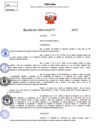 Vista preliminar de documento Resolucion Directoral N° 002304-2025