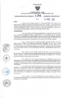 Vista preliminar de documento RDR N°238-2025-28-03-2025