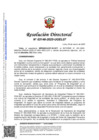 Vista preliminar de documento RESOLUCION-DIRECTORAL-03146-2025-UGEL07