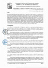 Vista preliminar de documento GDU-091-2025