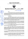 Vista preliminar de documento RD N° 642 + DIRECTIVA