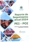 Vista preliminar de documento REPORTE DE SEGUIMIENTO ANUAL 2024 - PEI - POI