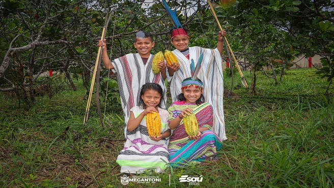 Gestión edil inició la ejecución del Proyecto cacao en la CCNN MASEKA
