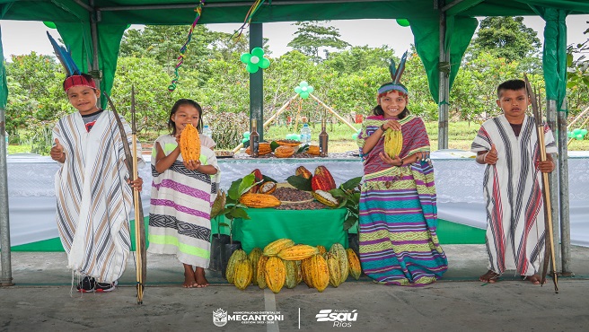 Gestión edil inició la ejecución del Proyecto cacao en la CCNN MASEKA