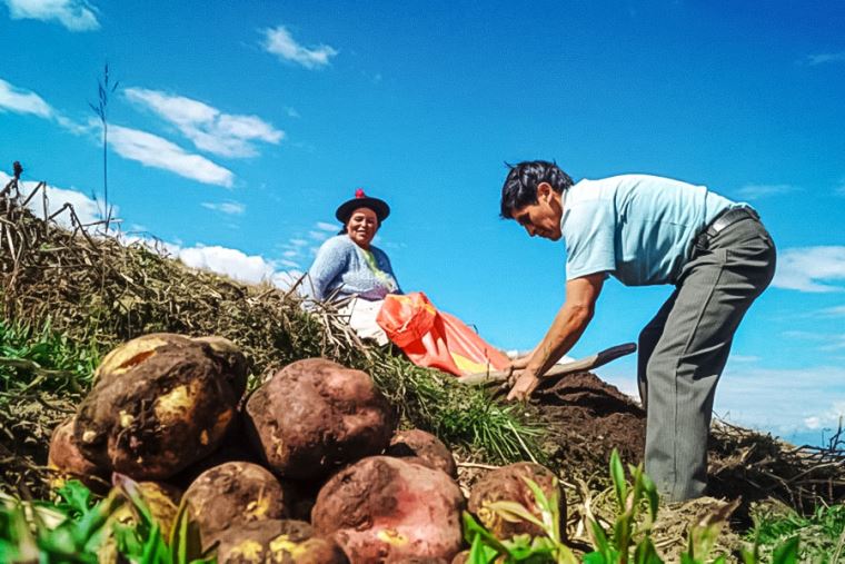 La norma busca brindar mayor certidumbre jurídica a los titulares de los proyectos o actividades susceptibles de generar impactos ambientales no significativos del sector Agrario y de Riego.