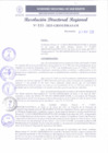 Vista preliminar de documento RDR 111-2025