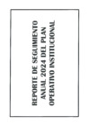 Vista preliminar de documento Rep. Seg. Anual 2024 del POI-2