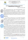 Vista preliminar de documento rgi171