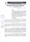 Vista preliminar de documento RDR 113-2025