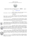 Vista preliminar de documento RDR N° 000012-2025-DRELP