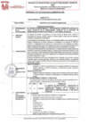 Vista preliminar de documento REQUERIMIENTO N° 024-2025-SBPM-GG-GAC-GGF