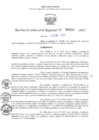 Vista preliminar de documento RDR N° 000014-2025-DRELP