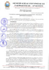Vista preliminar de documento RESOLUCION 029