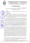 Vista preliminar de documento RESOLUCION 030
