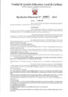 Vista preliminar de documento RD 607-2025 - LSG - ESPINOZA MOGOLLON NINO CHALO