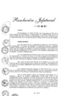 Vista preliminar de documento Resolución Jefatural N° 0395-2025-RE