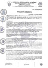 Vista preliminar de documento Resolución Directoral N.° 135-2025-HSR-AND-DE