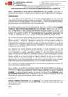 Vista preliminar de documento RESOLUCION DIRECTORAL N° 000196-2025