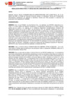 Vista preliminar de documento RESOLUCION DIRECTORAL N° 000202-2025