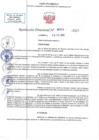 Vista preliminar de documento RD N 00253