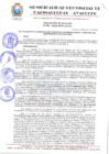 Vista preliminar de documento RESOLUCION 051