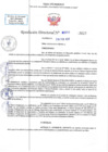 Vista preliminar de documento RD N 00260