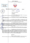 Vista preliminar de documento RD N 00263