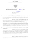 Vista preliminar de documento RD N° 141-2025
