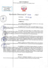 Vista preliminar de documento RD N 00266